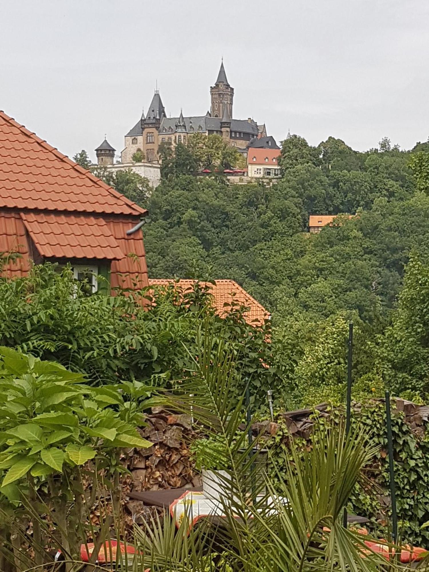 Haus Andrea Hotel Wernigerode Buitenkant foto